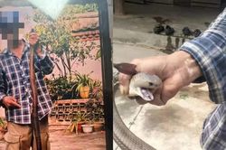 Bị rắn độc cắn vẫn chụp ảnh, người đàn ông 58 tuổi 'chật vật' thoát cửa tử