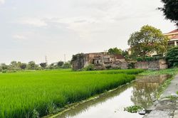 Muốn mua đất ruộng để xây nhà, người dân cần đáp ứng điều kiện gì?