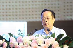 'Bây giờ Hà Nội không vội không được'