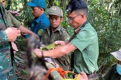 Người đàn ông tử vong trên cây cao 40m, nghi do đột quỵ