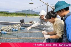 Phát hiện 5 mẫu tôm dương tính với ký sinh trùng gây bệnh
