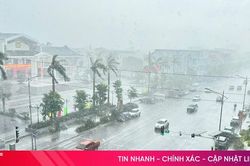 'Mưa v&agrave;ng' giải nhiệt H&agrave; Tĩnh sau chuỗi ng&agrave;y nắng n&oacute;ng