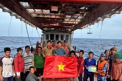 Khắc phục thẻ vàng IUU: Thành phố Hồ Chí Minh số hóa nhật ký tàu cá