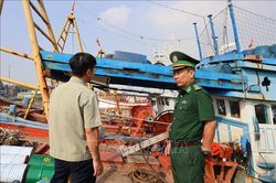 Khắc phục thẻ vàng IUU: TP Hồ Chí Minh số hóa nhật ký tàu cá