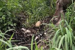 Vụ bộ xương trong bụi rậm v&agrave; b&iacute; ẩn nam MC mất t&iacute;ch: Chờ lời giải từ gi&aacute;m định ADN