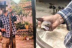 Bị rắn hổ mang cắn v&agrave;o tay vẫn chụp ảnh, người đ&agrave;n &ocirc;ng 58 tuổi c&oacute; trải nghiệm nhớ đời