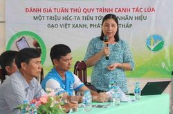 Cần Thơ thí điểm chứng nhận 'Gạo Việt xanh' bằng ứng dụng số