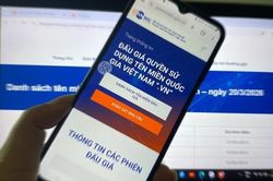 Đấu giá tên miền .vn: Ok.vn đạt mức trả giá cao nhất 109 triệu đồng