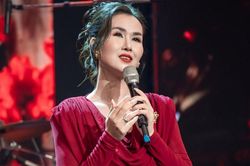 Mạng xã hội 'dậy sóng' với ca sĩ Võ Hạ Trâm