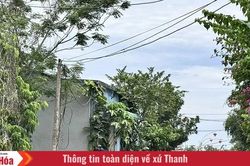 Làng Trịnh Lộc - 'Địa linh nhân kiệt hồng quần kém ai'