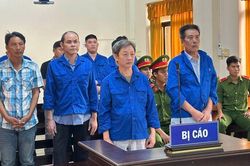 Lừa đảo chiếm đoạt tiền thu mua lúa, 11 bị cáo lãnh án