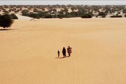 FAO cảnh b&aacute;o El Nino đe dọa an ninh lương thực