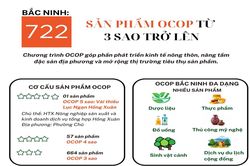 Bắc Ninh có 722 sản phẩm OCOP từ 3 sao trở lên