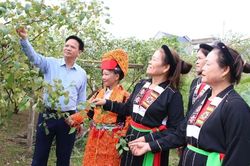 Dấu ấn người đứng đầu trong thực hiện nhiệm vụ trọng tâm