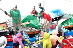 Chuyển dịch kinh tế thủy sản:Cấp thiết chuyển đổi số