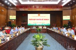 UBND tỉnh họp phi&ecirc;n chuy&ecirc;n đề th&aacute;ng 6