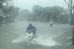 Dự b&aacute;o mưa lớn