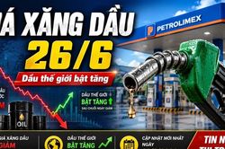 Gi&aacute; xăng dầu h&ocirc;m nay 26/6: Xăng dầu trong nước giảm, dầu thế giới tăng