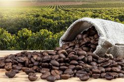 Giá cà phê hôm nay 26/6: Diễn biến trái chiều, robusta cao nhất 4 tháng
