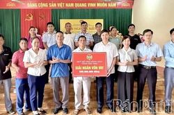 Toàn tỉnh: Thành lập mới 116 tổ, chi hội nông dân nghề nghiệp