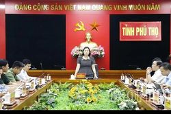 Tổng rà soát hệ thống văn bản quy phạm pháp luật