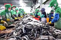 Nâng cao giá trị thủy sản từ chế biến sâu