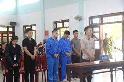 Xét xử lưu động vụ án hình sự về tội tổ chức sử dụng, mua bán trái phép chất ma túy