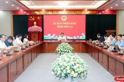 Triển khai, hướng dẫn thực hiện Nghị định số 164/2006/NĐ-CP
