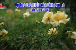 Dự báo thời tiết toàn tỉnh Sơn La ngày 27/6/2026