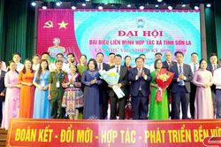 Nâng cao vai trò kinh tế tập thể trong kỷ nguyên mới