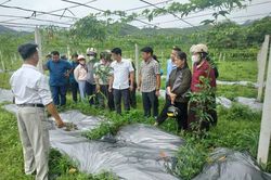 Cụ thể hóa nghị quyết thành hành động thực tiễn