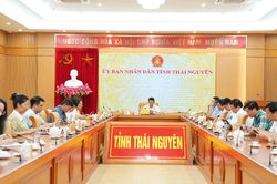 Thanh tra Chính phủ triển khai Nghị định 164 về kiểm soát tài sản, thu nhập