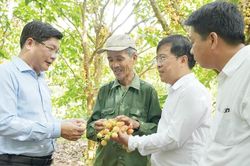 Đưa nghị quyết b&aacute;m s&acirc;u v&agrave;o thực tiễn