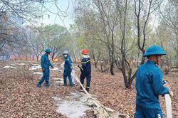 Quảng Trị: Giữ rừng trước 'giặc lửa'