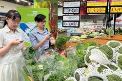 Nguy&ecirc;n tắc mới nhất về thực hiện truy xuất nguồn gốc sản phẩm, h&agrave;ng h&oacute;a