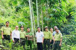 C&ocirc;ng an tỉnh Tuy&ecirc;n Quang t&iacute;ch cực phối hợp bảo vệ động vật hoang d&atilde;, g&oacute;p phần g&igrave;n giữ đa dạng sinh học