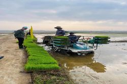 Nhận diện và đấu tranh với những quan điểm sai trái về kinh tế tập thể, hợp tác xã trong giai đoạn hiện nay