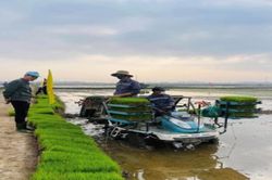 Nhận diện và đấu tranh với những quan điểm sai trái về kinh tế tập thể, hợp tác xã trong giai đoạn hiện nay