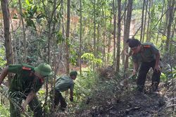 Công an xã ở Huế 'đội lửa trời' dập tắt vụ cháy rừng