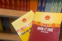 Doanh thu cho thu&ecirc; nh&agrave; dưới 1 tỷ đồng/năm c&oacute; phải nộp thuế?