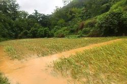Chủ động ứng ph&oacute; với mưa lớn, ngập lụt, lũ qu&eacute;t, sạt lở đất tr&ecirc;n địa b&agrave;n tỉnh Cao Bằng