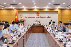 Khẩn trương hoàn thành xử lý, khai thác hiệu quả cơ sở nhà, đất dôi dư