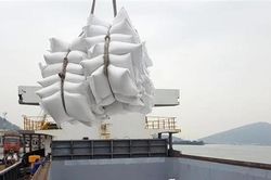 Xuất khẩu gạo 6 tháng ước đạt 5 triệu tấn, thu về 2,36 tỷ USD