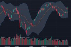 Chứng khoán hôm nay 25/6: VN-Index điều chỉnh, khối ngoại xả ròng hơn nghìn tỷ