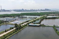 Quảng Ninh: Phường Quảng Yên yêu cầu dừng hoạt động kinh doanh nhà hàng trên đất nông nghiệp