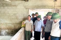 Nghệ An phấn đấu ti&ecirc;m ph&ograve;ng bắt buộc đạt tr&ecirc;n 70% tổng đ&agrave;n gia s&uacute;c, gia cầm