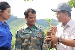 Khát vọng xây dựng thương hiệu cà phê đặc sản Tu Mơ Rông