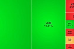 Cổ phiếu họ Vin tiếp tục 'g&aacute;nh' thị trường