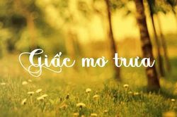 Hai nhạc sĩ thắng kiện vụ bản quyền bài hát 'Giấc mơ trưa'