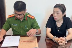 Ninh Bình: Bắt tạm giam người phụ nữ lừa hơn 559 triệu đồng bằng chiêu 'chạy án'